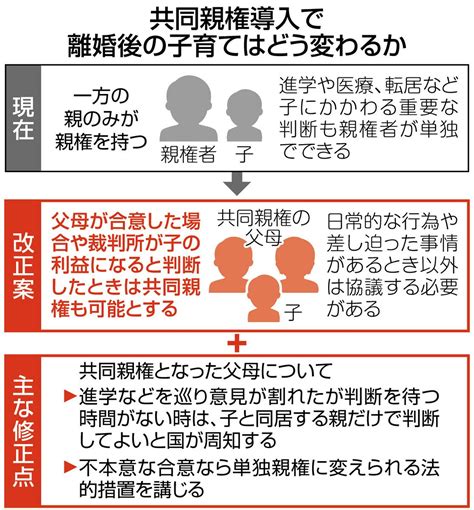 dswd とは|子の親権問題 .